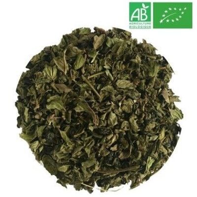 Tè Alla Menta Premium Biologico 1kg