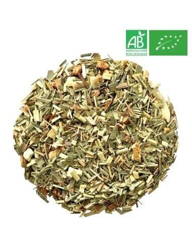 Infuso Di Eucalipto Biologico 1kg