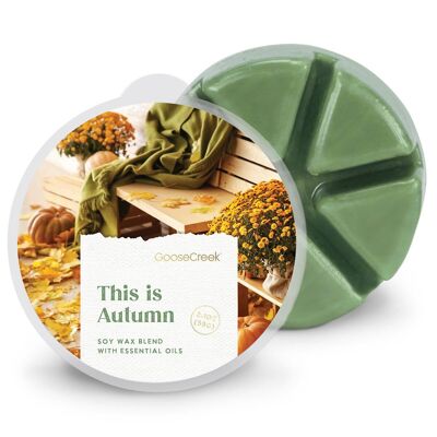 This Is Autumn Goose Creek Candle® Wax Melt