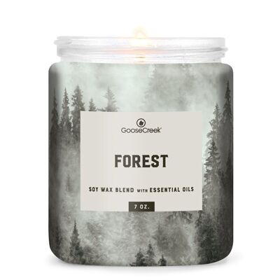 Forest Goose Creek Candle® 45 ore di combustione 198 grammi