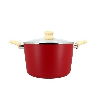 Magenta 24cm induction aluminum stewpot with glass lid