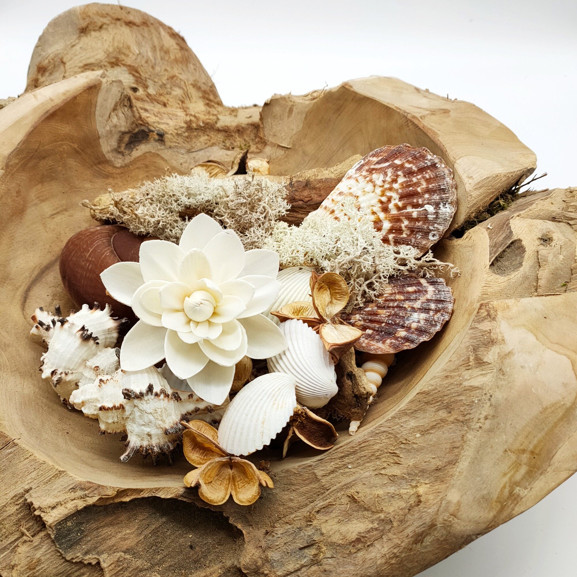 Buy wholesale Natural Seashell Potpourri