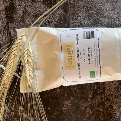 Farine de blé de Khorasan bio T65