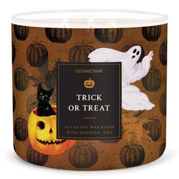 Trick Or Treat Goose Creek Candle® Grande bougie à 3 mèches 1