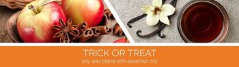 Trick Or Treat Goose Creek Candle® Grande bougie à 3 mèches 2