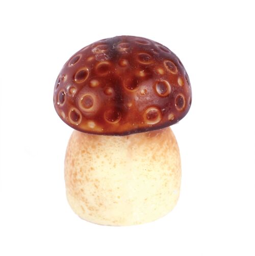 Champignon Automne (Blanc) - BONBONS DE CHOCOLAT -