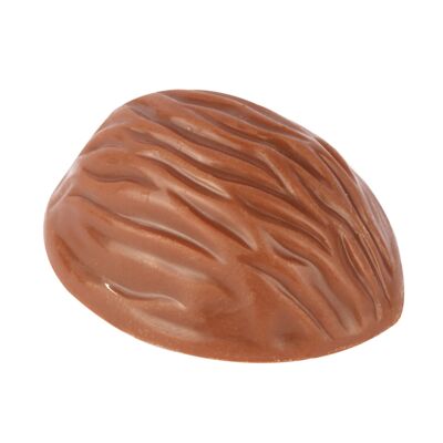Nuts (Milk) - CHOCOLATE CANDY -