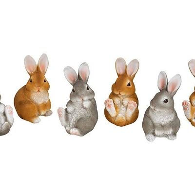 Poly bunny 6 assortiti