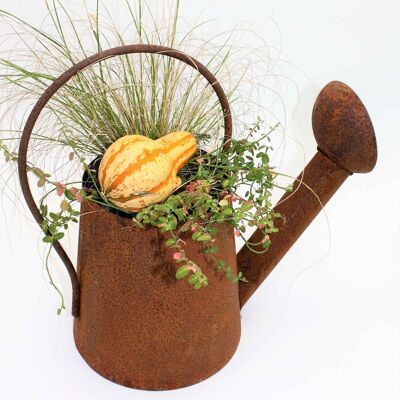 Decorative watering can in patina | 3D rust decoration for planting