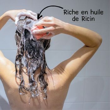 Shampoing solide - Tous cheveux 3
