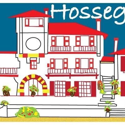 SPUGNA PER LA CASA REG36-HOSSEGOR