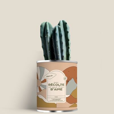 On récolte ce que l'on s'aime - Mini cactus