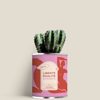 Liberté, égalité, sororité : Mini cactus