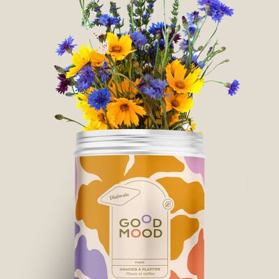 Good Mood - Kit de graines à planter