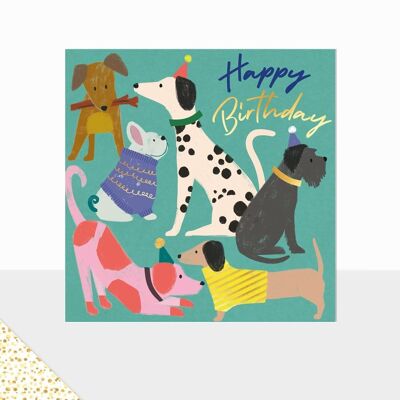 Aurora Collection - Luxuriöse Grußkarte - Happy Birthday-Karte - Hund