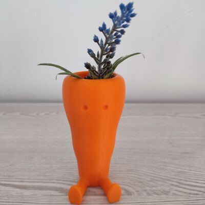 Maceta con forma de zanahoria -Decoración para el hogar - 3DRoots