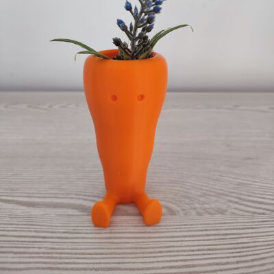 Maceta con forma de zanahoria -Decoración para el hogar - 3DRoots
