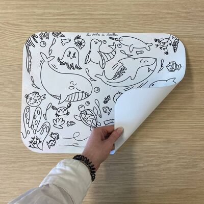 Colorable placemat x15