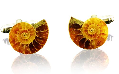 Silver Plated Fossil Ammonite Slice Cufflinks -Madagascar