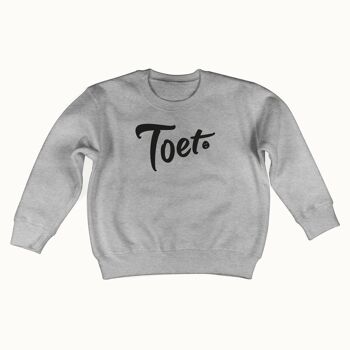 Pull TOET (gris chiné) 1