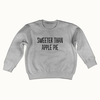 Pull plus doux que la tarte aux pommes (gris chiné) 1