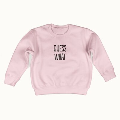 Guess What Pullover (soft pink)