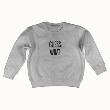 Pull Guess What (gris chiné) 1