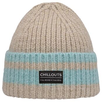 Chapeau d'hiver (Bonnet) Cooper Hat 2