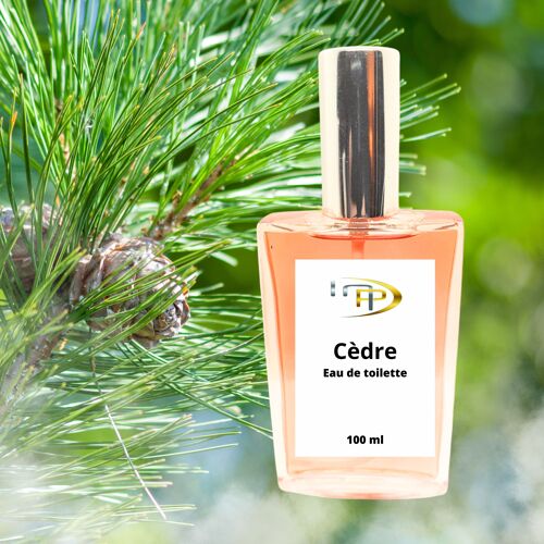 Parfums Absolues - Cèdre