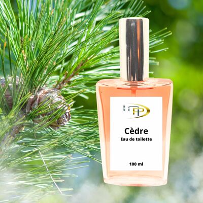 Absolute Perfumes - Cedar