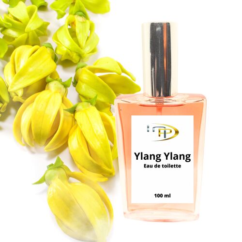 Parfums Absolues - Ylang Ylang