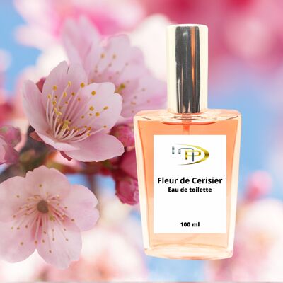 Fragrance Fleur de cerisier (Grasse)
