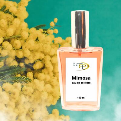 Perfumes Absolutos - Mimosa