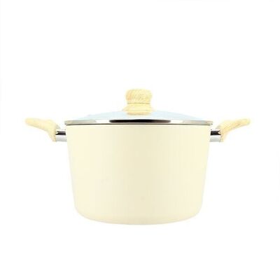 24cm cream saucepan in induction aluminum with glass lid