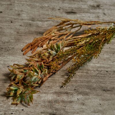 Salvia del legno oscuro - Stelo artificiale - Abigail Ahern