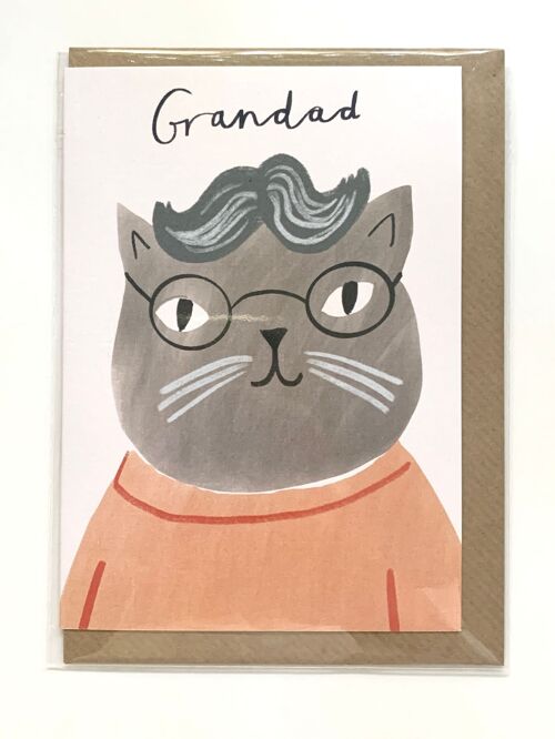 Grandad Glasses Cat