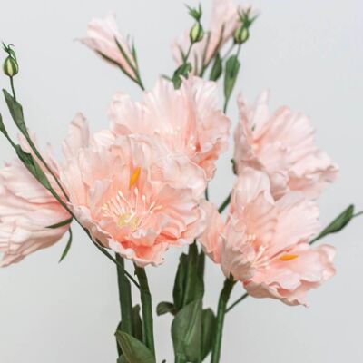 Lisianthus in pink paper