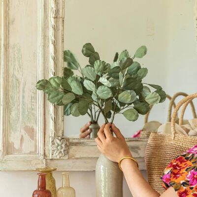 Eucalyptus Populus in Mixed Green Paper