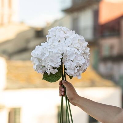 Hortensia en papier blanc