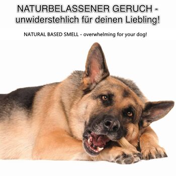 DOGBOSS Os à mâcher 100% naturels, peau de bœuf au cabillaud, os de chien, lot de 5 en 12 cm (5x55g=275g), 17 cm (5x115g=575g) ou 22 cm (5x210g=1050g) 4