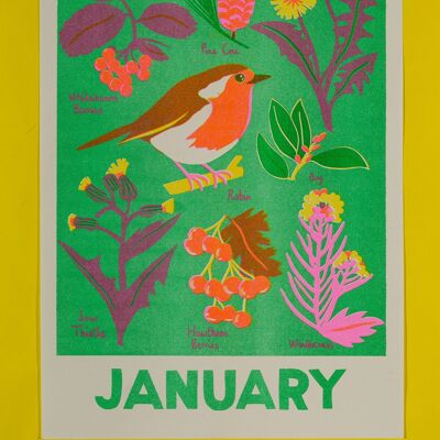January Month Risograph Print