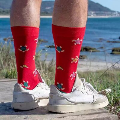 Red Turtle Socks