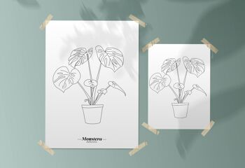 Affiche Monstera Deliciosa - Papier A5 / A4 / A3 1