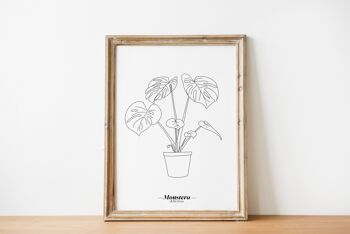 Affiche Monstera Deliciosa - Papier A5 / A4 / A3 4