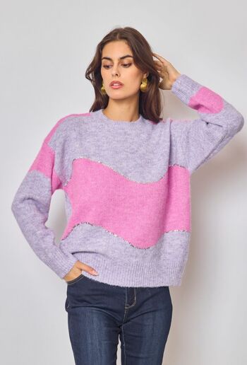 Pull Bi-color Paillette 13