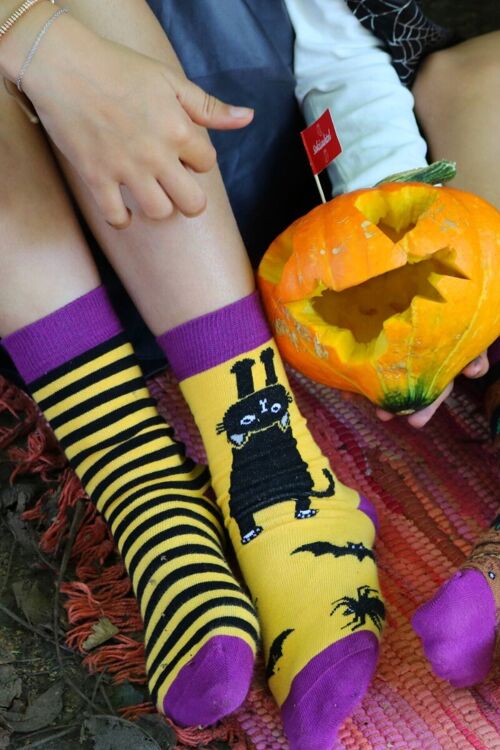 DEXTER Halloween socks with a black cat and stripes
