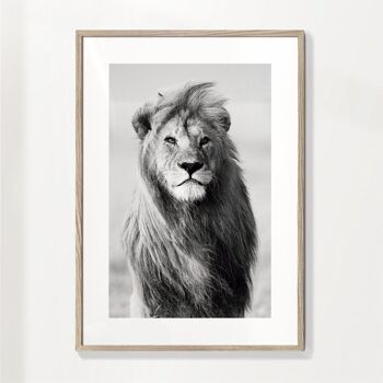 Tableau Lion majestueux 5