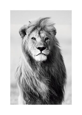 Tableau Lion majestueux 7