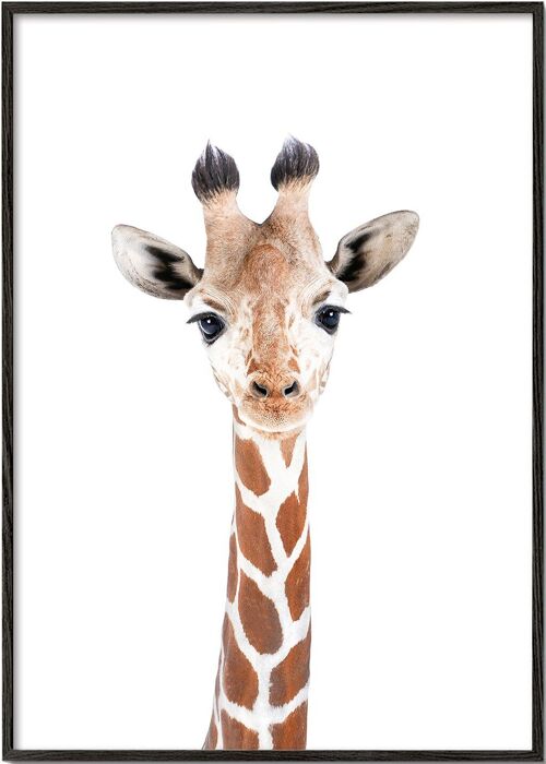 Tableau Baby Giraffe