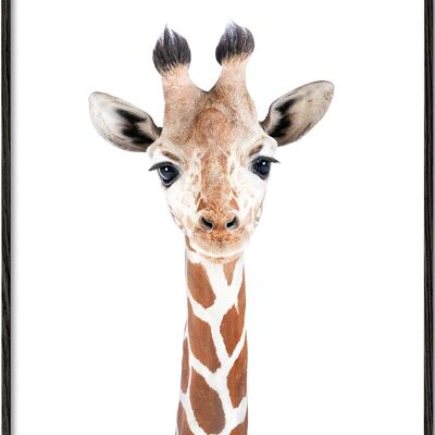 Tableau Baby Giraffe